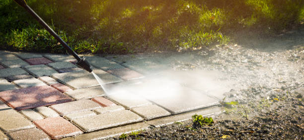 Best Roof Cleaning and Mildew Removal in Melissa, TX